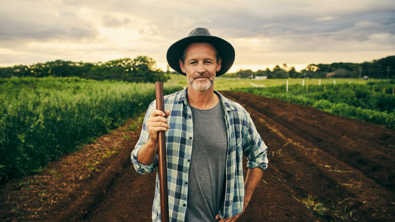 Person standing on a farm